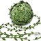 269ft Leaf Ribbon, Baby Shower Decorations Artificial Vines Leaf String Trim Ribbon for Decorative Jungle Plant Green Home Wedding Party Balloon Garland DIY Craft
